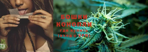 ECSTASY Заводоуковск