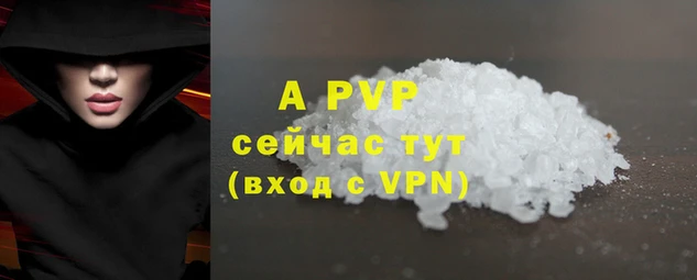 ECSTASY Заводоуковск