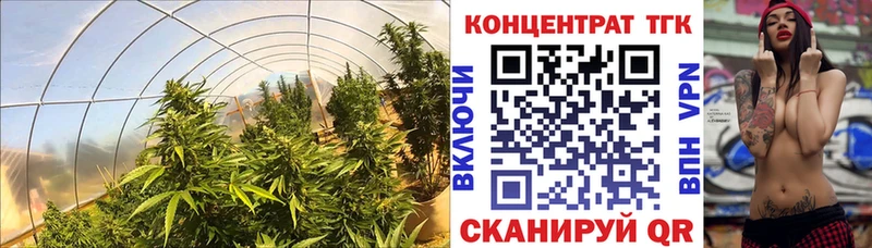 ТГК Wax  Карачев 