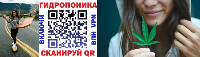 где купить наркоту  mega зеркало  Конопля индика  Карачев 